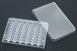 CrystalQuest Plate Photo