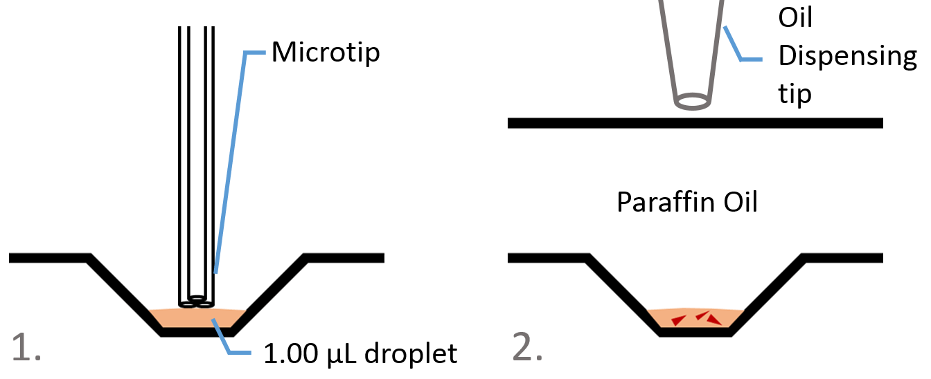 Image of microtip