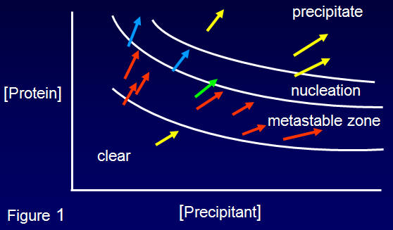 Phase diagram of seeding